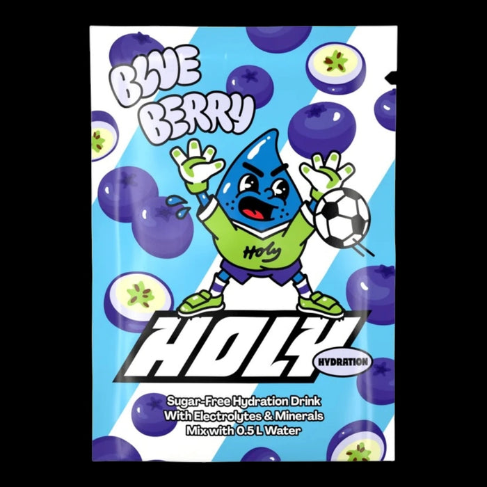 Holy Hydration Blaubeere 1x0.5l