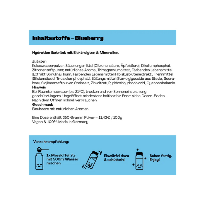 Holy Hydration Blaubeere 1x0.5l